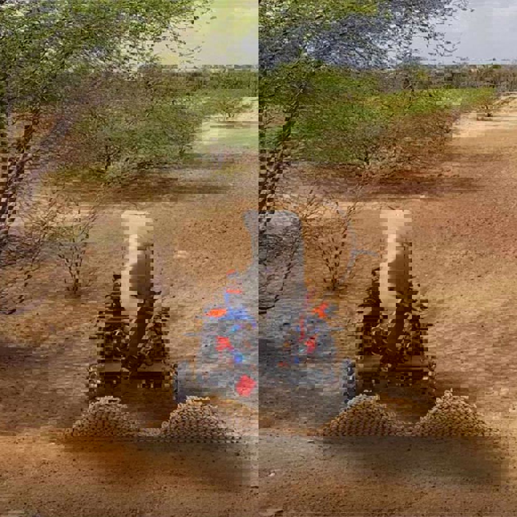 Autonomous robot in the desert