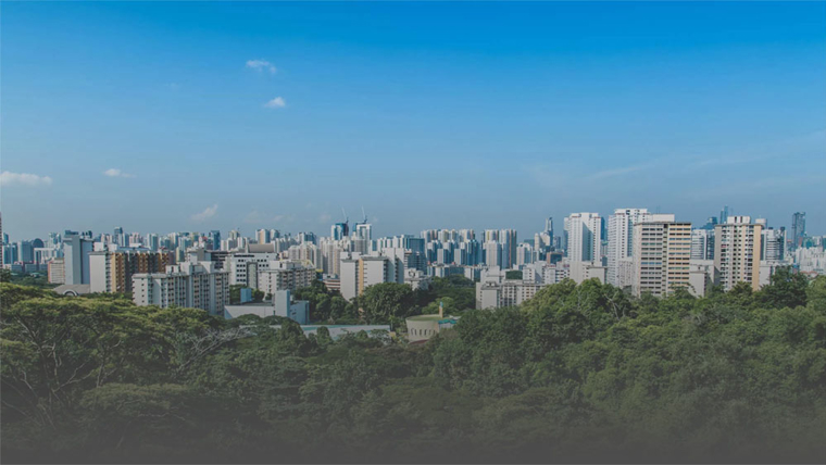 City seen from a hill on a sunny day