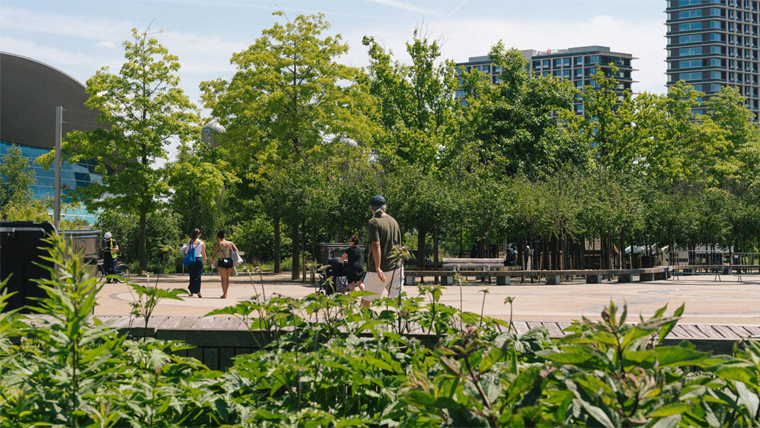 London's Olympic Park