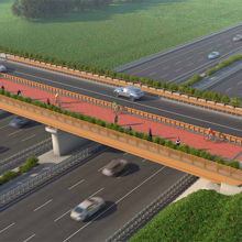 CGI impression of a timber bridge
