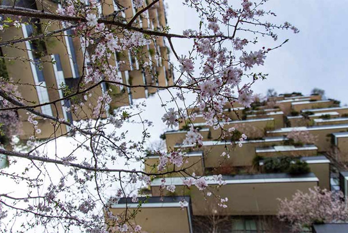 Bosco Verticale