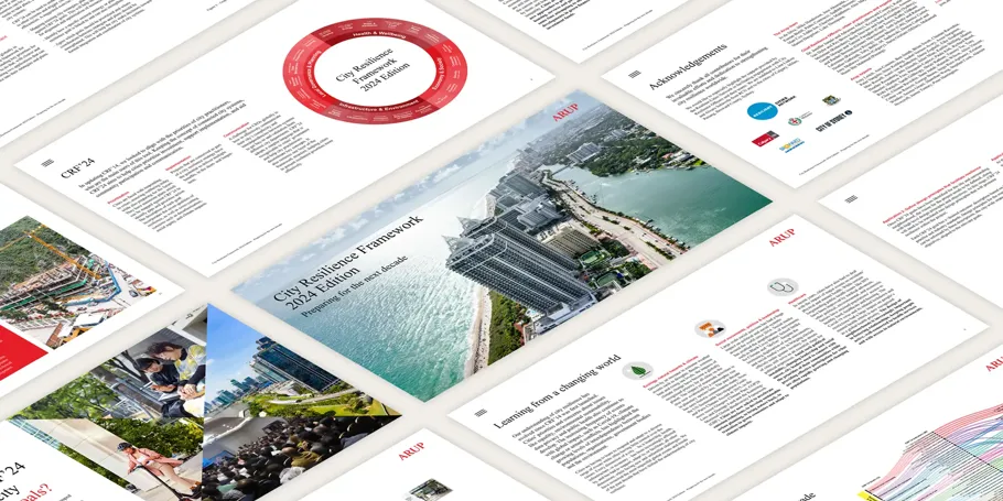 Snippet of content in the city resilience framework