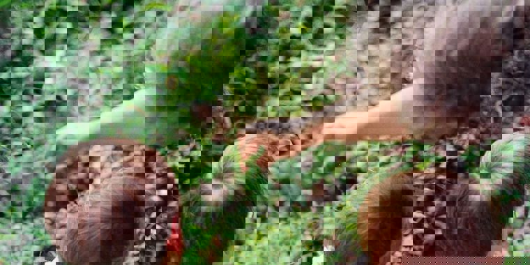 Cities Alive: designing for ageing communities