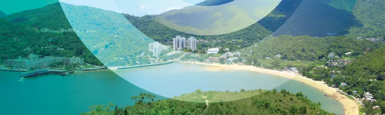 Designing a Sustainable Rural Township With Nature-based Solutions