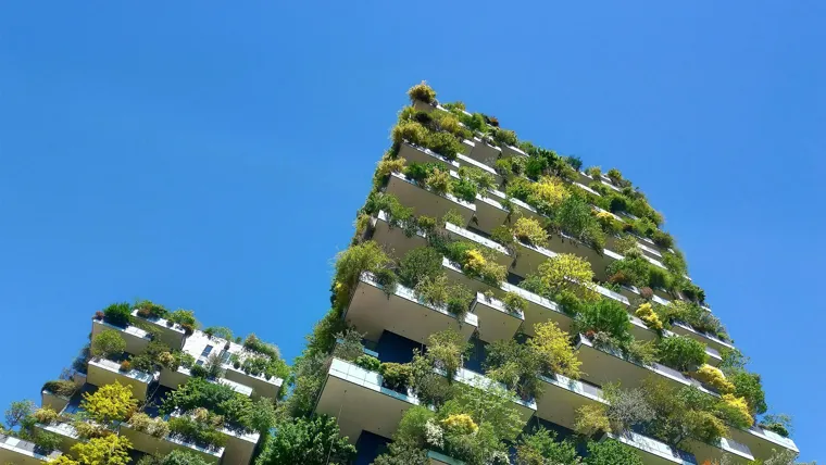 A building with trees on the roof.