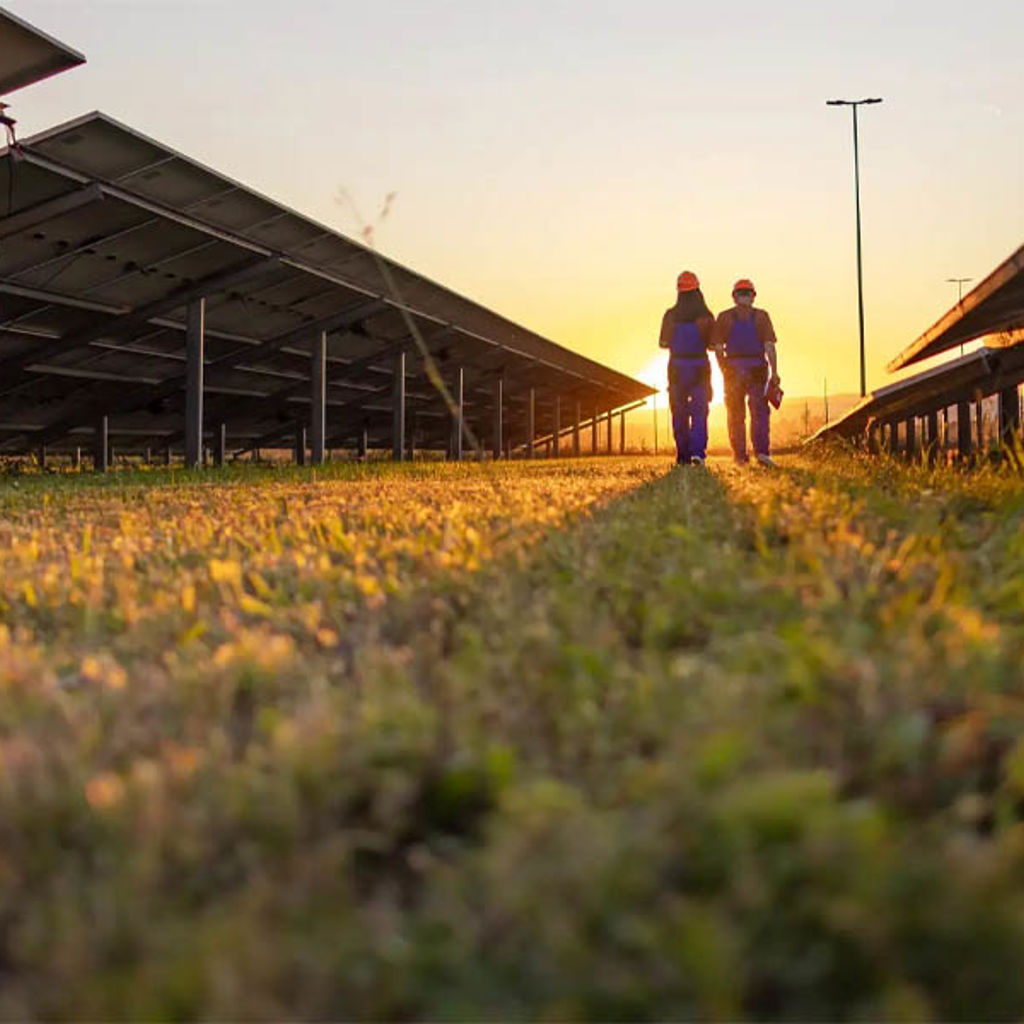 A couple of people standing on a field of flowers.