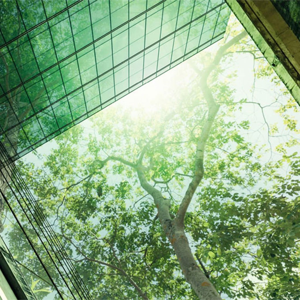 Looking at the sky from a building's courtyard with a tree blocking out the sun