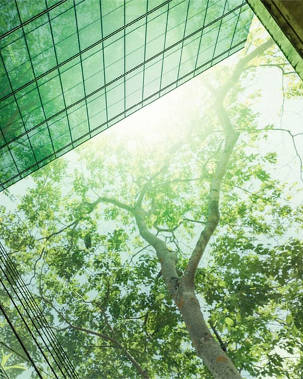 Looking at the sky from a building's courtyard with a tree blocking out the sun