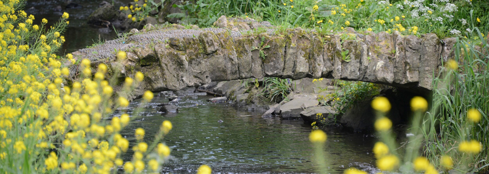 Connswater Community Greenway