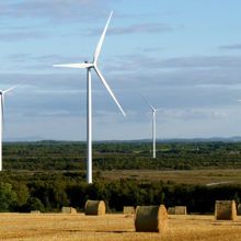 Mountlucas Wind Farm. Credit: Bord na Mona