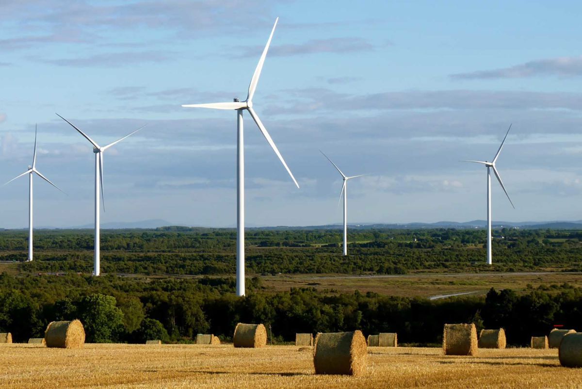 Mountlucas Wind Farm. Credit: Bord na Mona