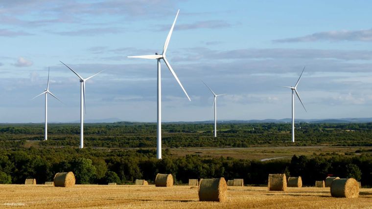 Mountlucas Wind Farm. Credit: Bord na Mona