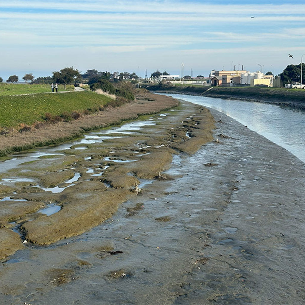 A riverside with marshland and a pedestrian path in the distance