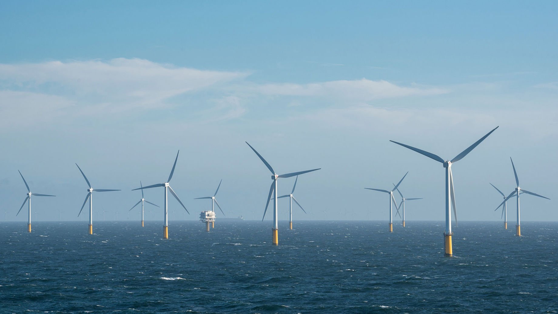 Australis Offshore Windfarms