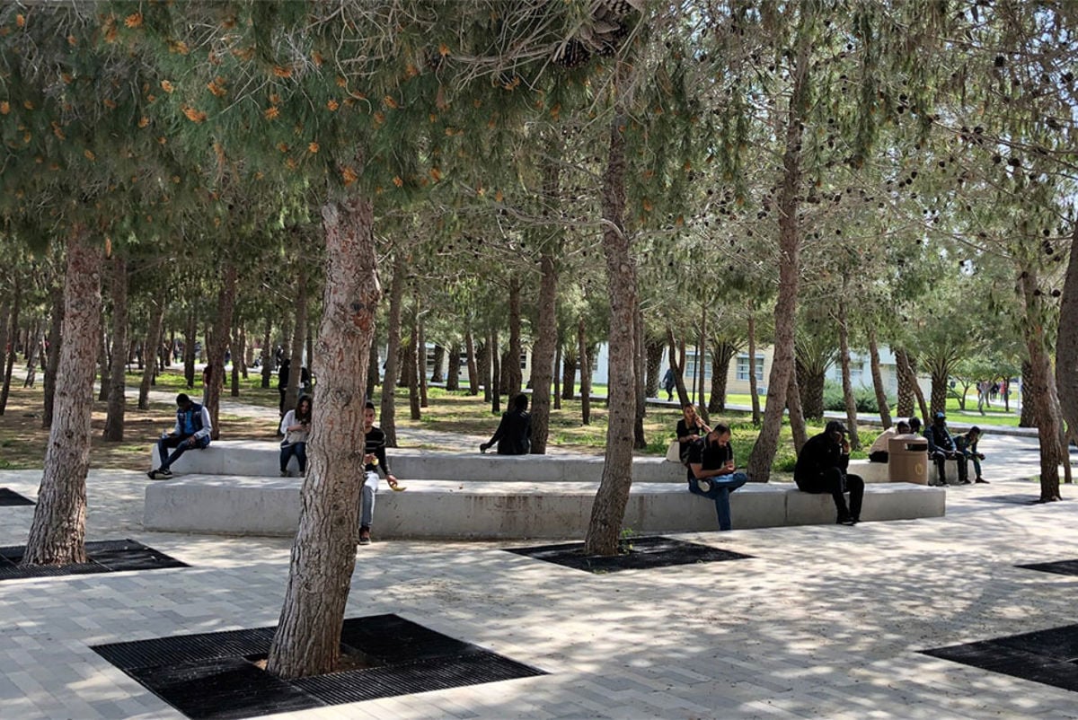 Tree-lined paths provide continuous shade during summer