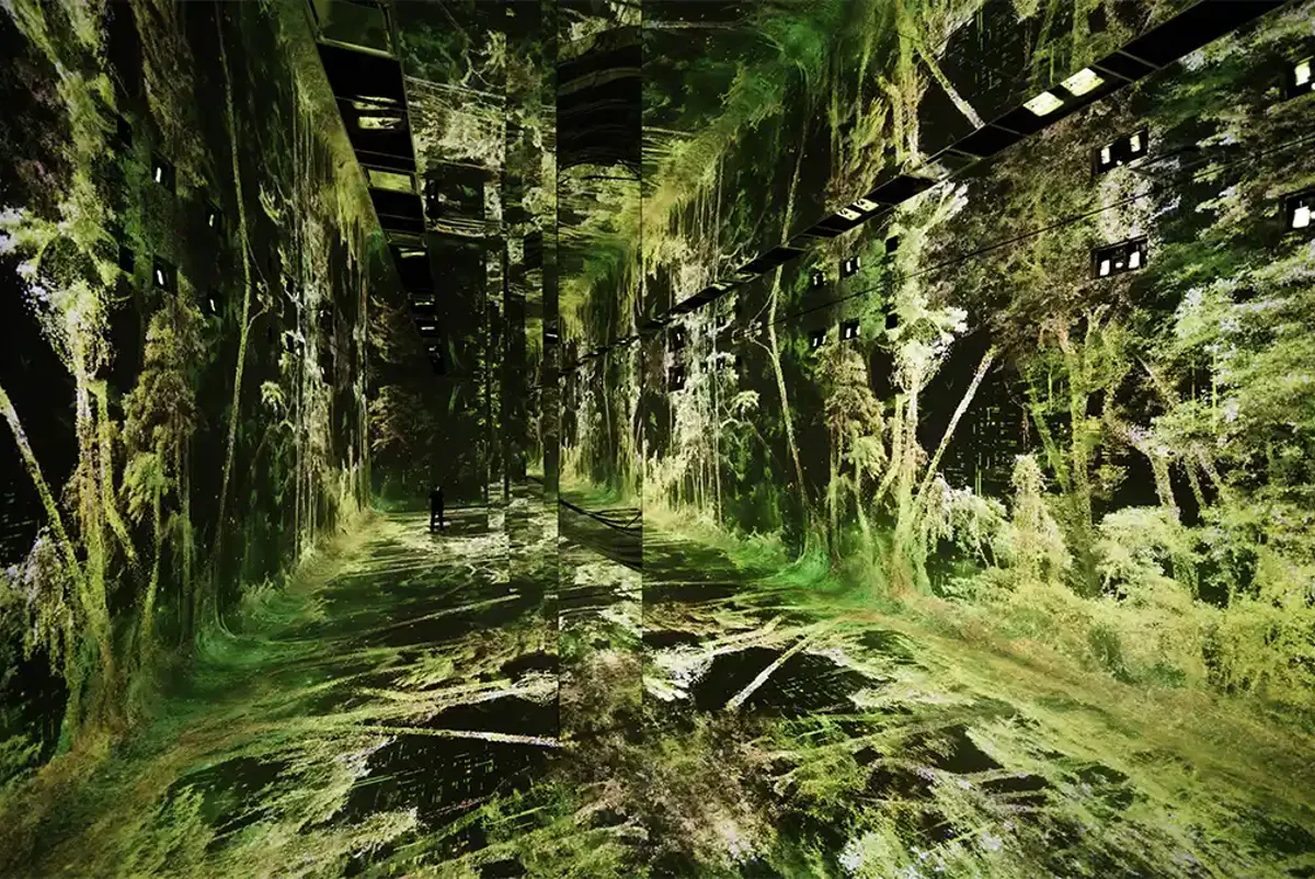 Forest imagery in Gallery A of Dataland