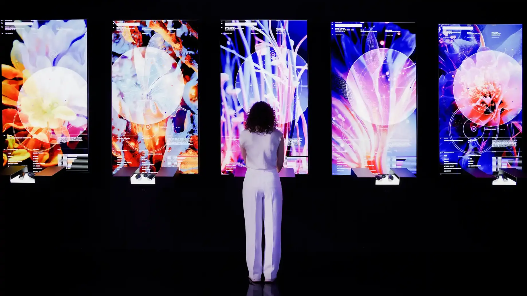 A person standing in front of five screens with images of jellyfish in gallery E