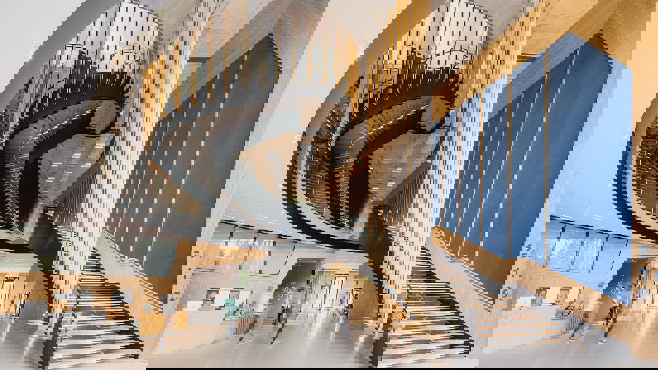 The new interfaculty academic structure consists of four floors