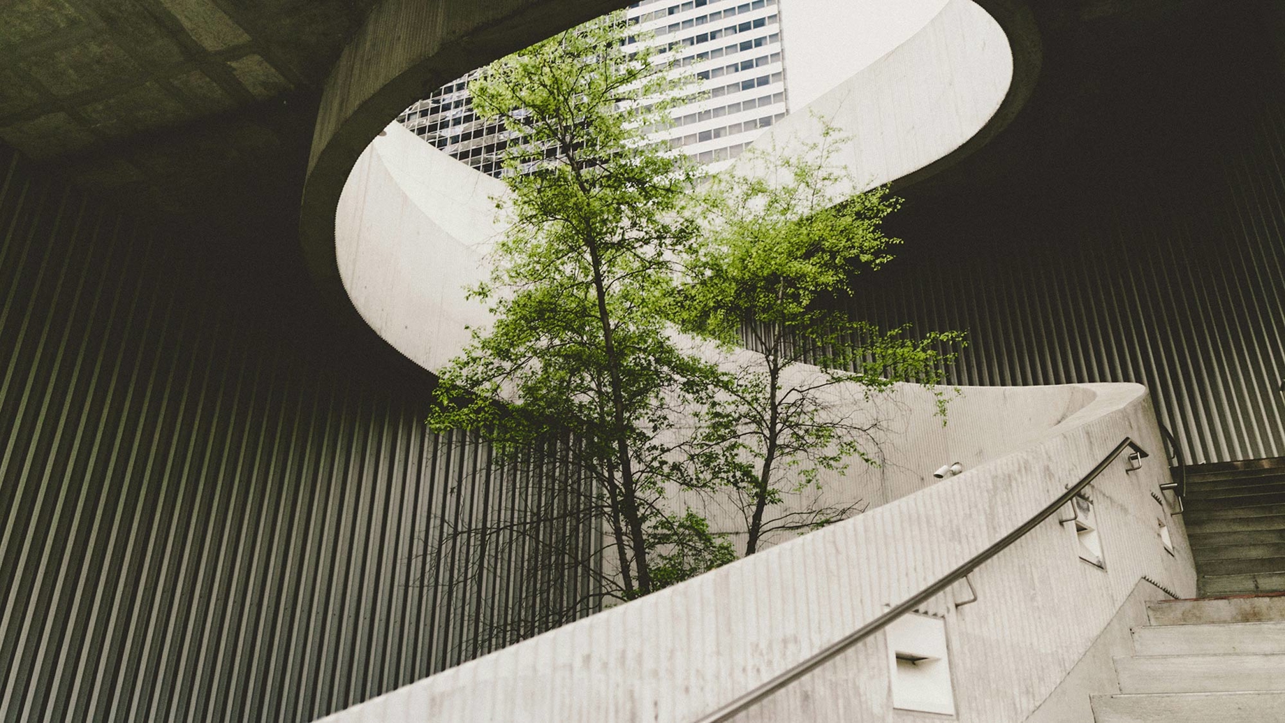 Stairway with greenery