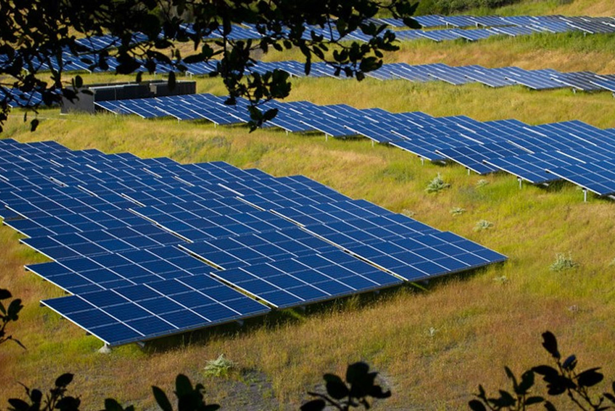 A solar farm