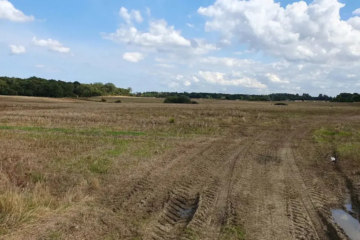 A dirt road in a field.