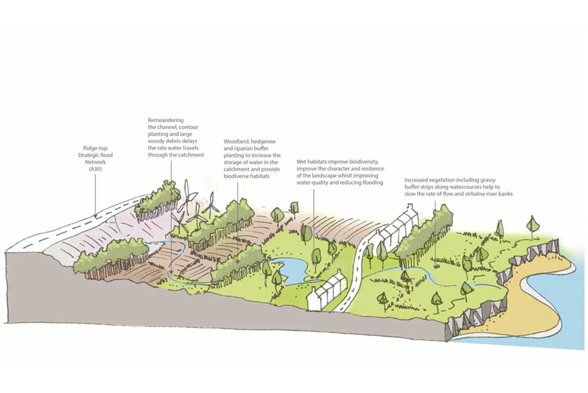 Strategic approach to green and blue networks at a catchment scale 