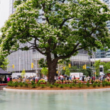 Love park, Toronto