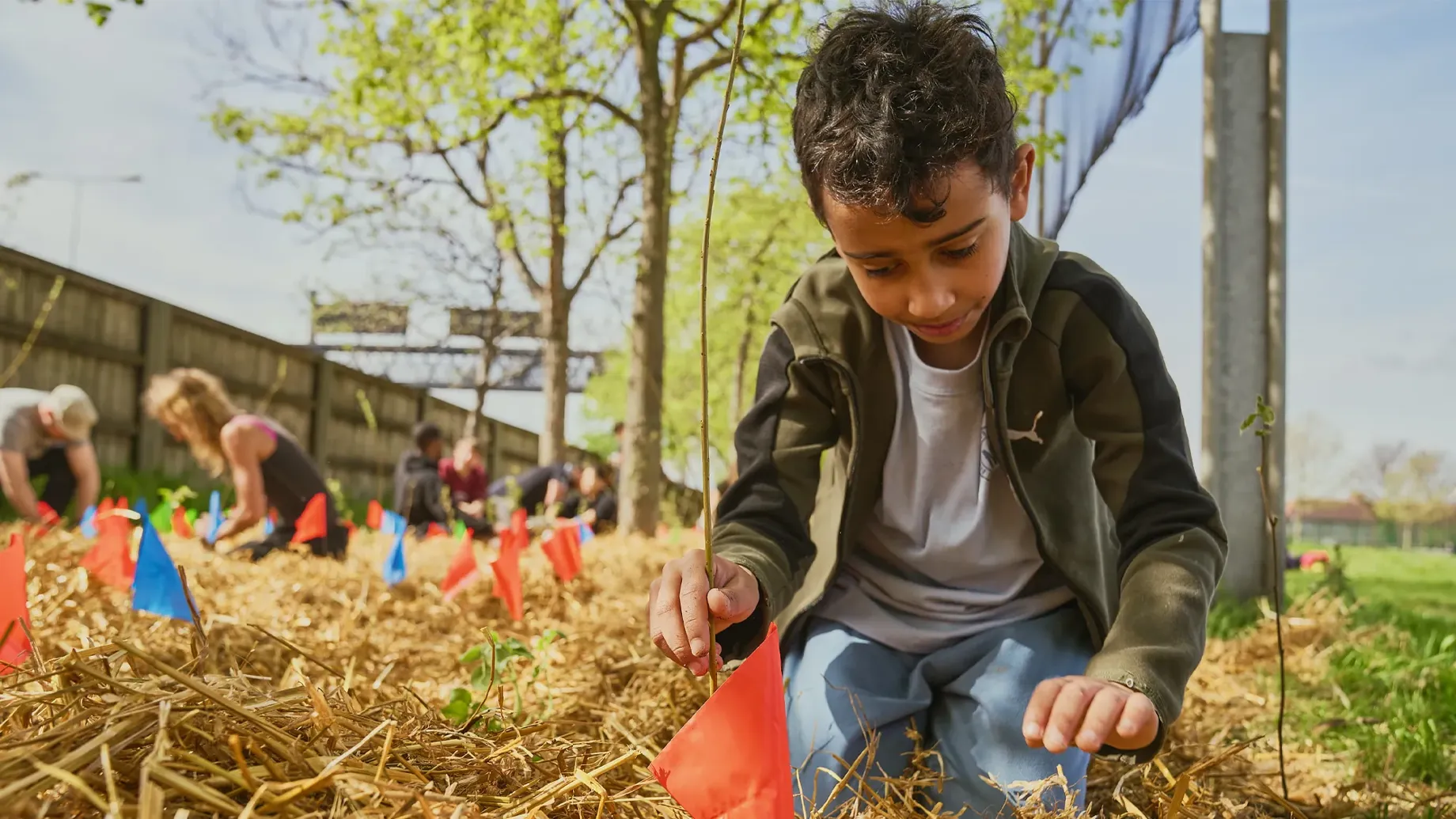 A person planting plants in a garden.