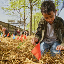 A boy kneeling in a field of hay.
