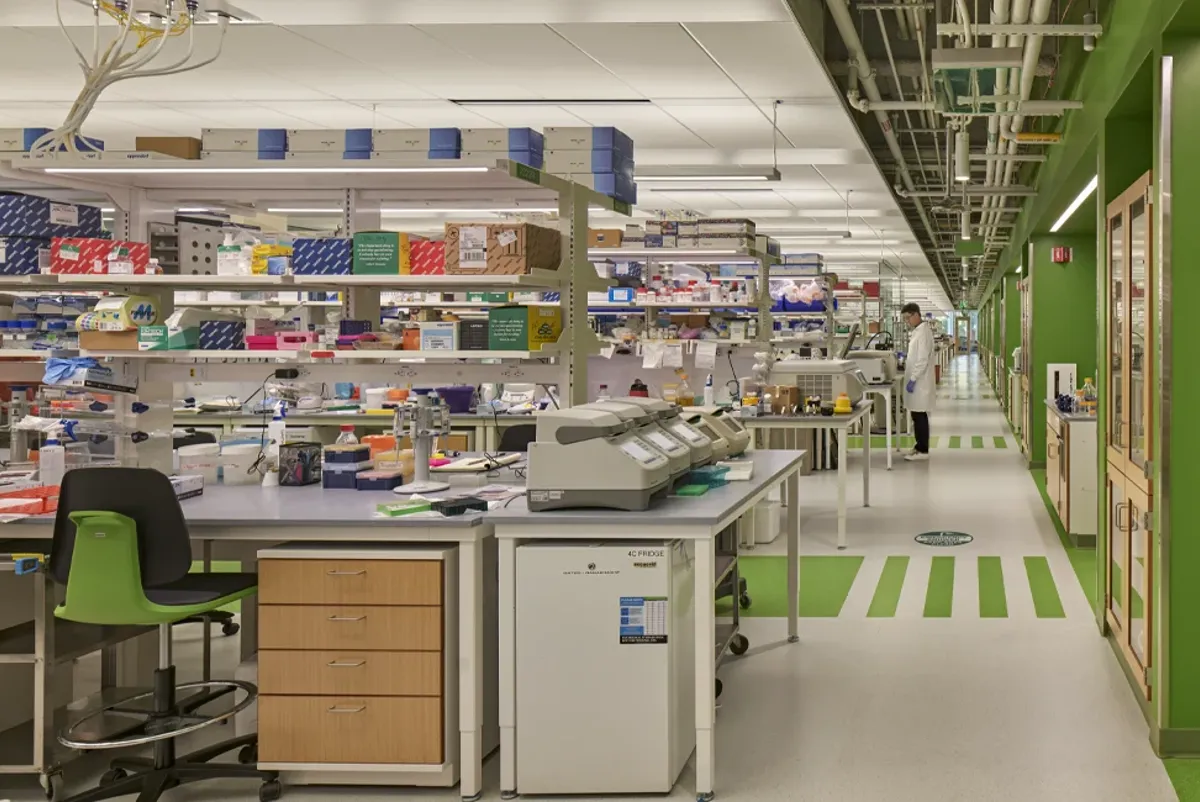 A lab space inside the Ragon Institute