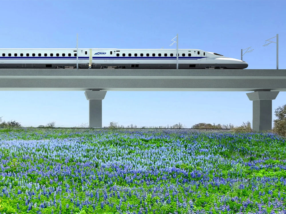 An elevated high-speed train over a field of flowers