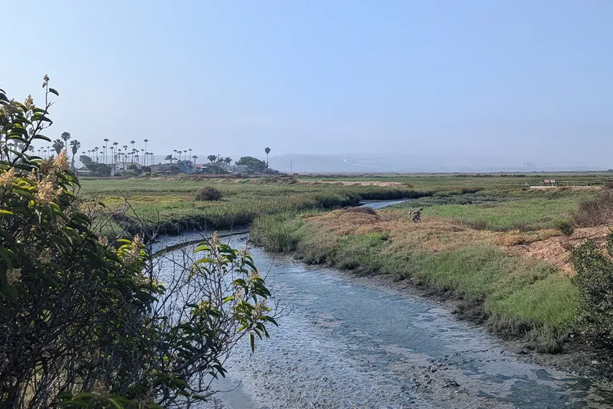 A river running through a grassy area.