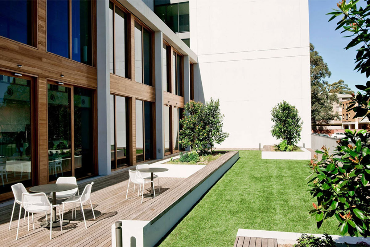 Outside space at the Westmead institute