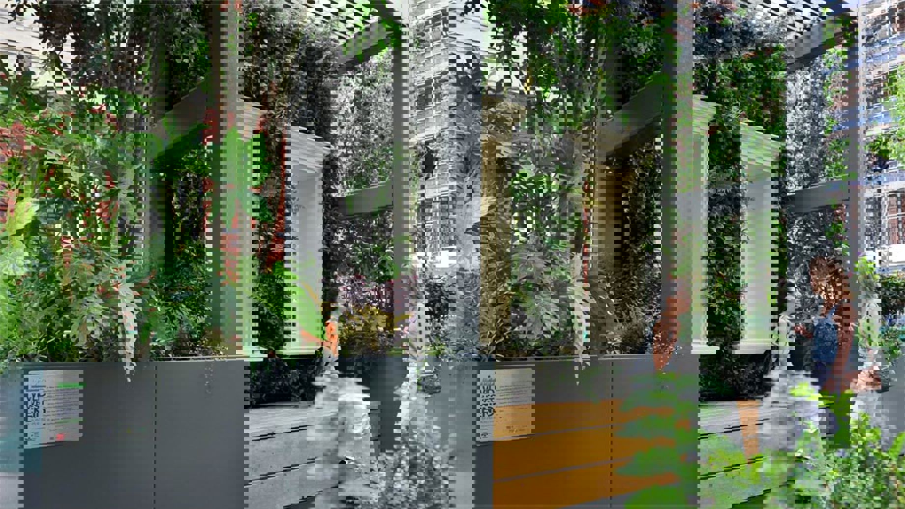 Greening the city in London