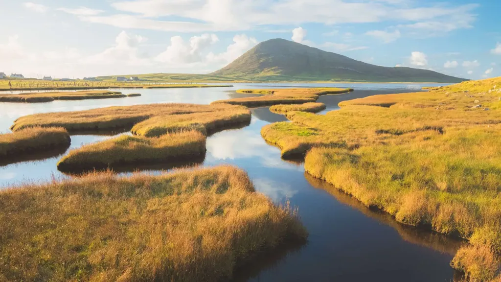 A wetland in Yorkshire with a mountain in the background