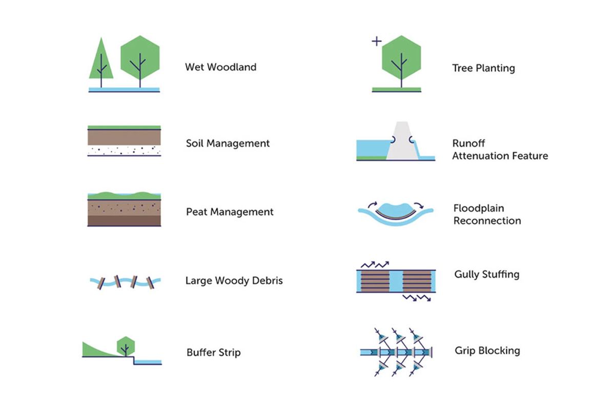 Proposed interventions by NatureInsight