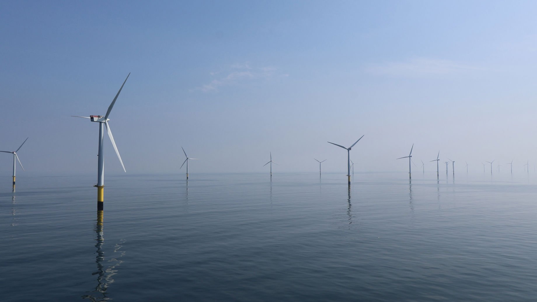 An offshore wind farm