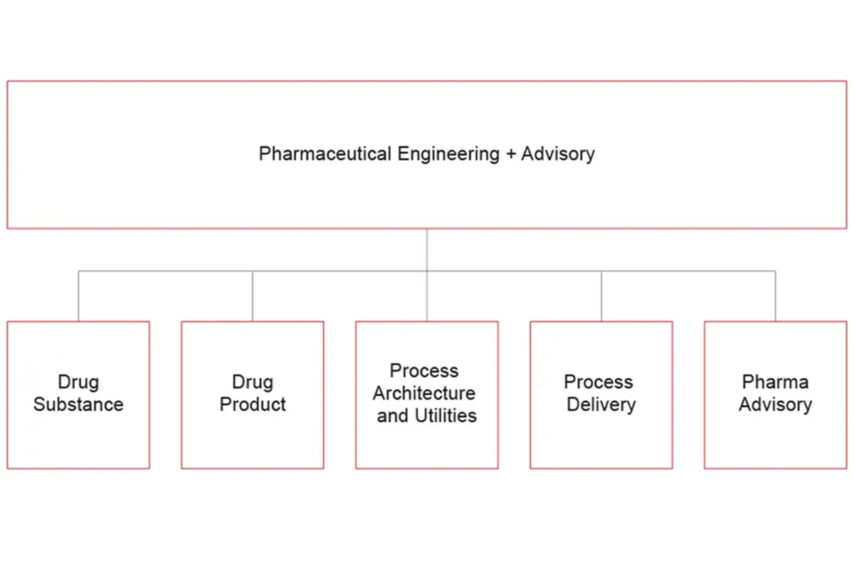 Diagram: Delivering integrated solutions in pharmaceutical process engineering