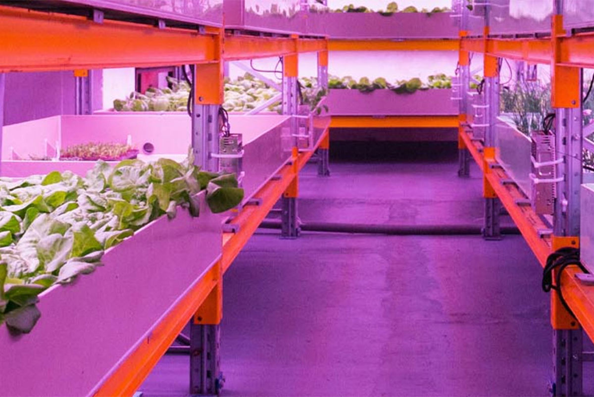 Repurposing buildings for farming